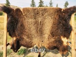 Fresh Tanned Wild Montana Yellowstone Bison Buffalo Robe Blanket Leather Antler