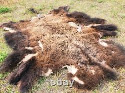 Fresh Tanned Wild Montana Yellowstone Bison Buffalo Robe Blanket Leather Antler