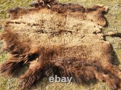 Fresh Tanned Wild Montana Yellowstone Bison Buffalo Robe Blanket Leather Antler