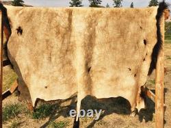 Fresh Tanned Wild Montana Yellowstone Bison Buffalo Robe Blanket Leather Antler