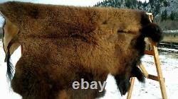 Freshly Tanned Wild Montana Yellowstone Bison Robe Blanket Shed Antler Leather