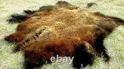 Freshly Tanned Wild Yellowstone Bison Buffalo Robe Blanket Hide Leather Antler