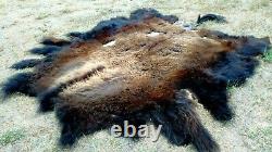 Freshly Tanned Wild Yellowstone Bison Buffalo Robe Blanket Hide Leather Antler