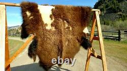 Freshly Tanned Wild Yellowstone Bison Buffalo Robe Blanket Hide Leather Antler