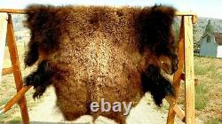 Freshly Tanned Wild Yellowstone Bison Buffalo Robe Blanket Hide Leather Antler