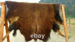 Freshly Tanned Wild Yellowstone Bison Buffalo Robe Blanket Hide Leather Antler