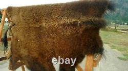 Freshly Tanned Wild Yellowstone Bison Buffalo Robe Blanket Hide Leather Antler