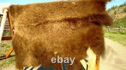 Freshly Tanned Wild Yellowstone Bison Buffalo Robe Blanket Hide Leather Antler