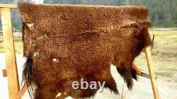 Freshly Tanned Wild Yellowstone Bison Buffalo Robe Blanket Hide Leather Antler