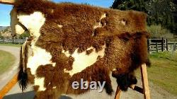 Freshly Tanned Wild Yellowstone Bison Buffalo Robe Blanket Hide Leather Antler