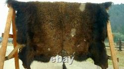 Freshly Tanned Wild Yellowstone Bison Buffalo Robe Blanket Hide Leather Antler