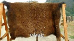 Freshly Tanned Wild Yellowstone Bison Buffalo Robe Blanket Hide Leather Antler