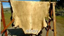 Freshly Tanned Wild Yellowstone Bison Buffalo Robe Blanket Hide Leather Antler