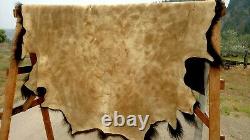 Freshly Tanned Wild Yellowstone Bison Buffalo Robe Blanket Hide Leather Antler