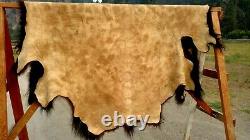 Freshly Tanned Wild Yellowstone Bison Buffalo Robe Blanket Hide Leather Antler