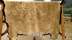 Freshly Tanned Wild Yellowstone Bison Buffalo Robe Blanket Hide Leather Antler