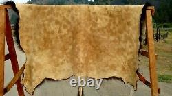 Freshly Tanned Wild Yellowstone Bison Buffalo Robe Blanket Hide Leather Antler