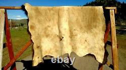 Freshly Tanned Wild Yellowstone Bison Buffalo Robe Blanket Hide Leather Antler