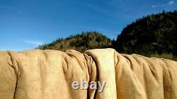 Freshly Tanned Wild Yellowstone Bison Buffalo Robe Blanket Hide Leather Antler