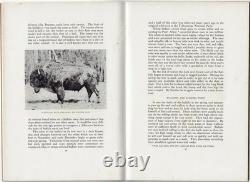 GARRETSON Short History of the American Bison. Distribution, Habits, Trails 1934