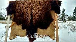 GIANT NEW Wild Montana Yellowstone Park Bison Buffalo Robe Leather Native Antler