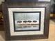 Gary Crandall Signed Bison Wildlife Photo Gray Crane Studios Framed 25.5x21.5