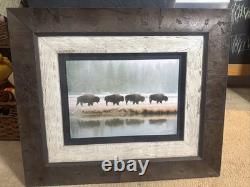 Gary Crandall Signed Bison Wildlife Photo Gray Crane Studios Framed 25.5x21.5