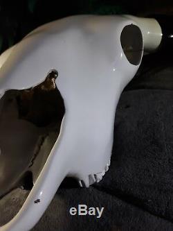 Genuine Buffalo Bison Skull with Horns, painted black and white then clear coat