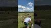 Girl Trips While Being Chased By A Bison