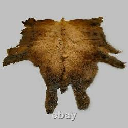 Glacier Wear First Quality Buffalo Bison Robe Hide Rug #1571