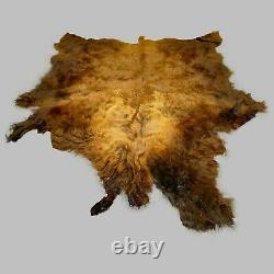 Glacier Wear First Quality Buffalo Bison Robe Hide Rug #1587