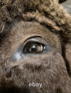Gorgeous Massive Mounted Buffalo / Bison Taxidermy Head