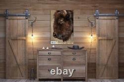 Graybeard BISON, Yellowstone Wall art, Paper, Canvas, Metal & Acrylic options