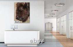 Graybeard BISON, Yellowstone Wall art, Paper, Canvas, Metal & Acrylic options