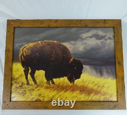 Greg Beecham American Bison Western Plains Grassland Framed Art 29 x 22