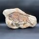 Hagen Renaker Bison Buffalo Ceramic Rock Wall Plaque 1950s RARE