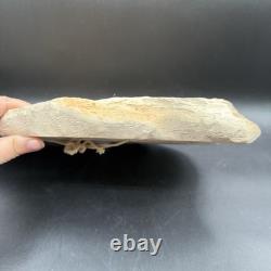 Hagen Renaker Bison Buffalo Ceramic Rock Wall Plaque 1950s RARE