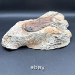 Hagen Renaker Bison Buffalo Ceramic Rock Wall Plaque 1950s RARE