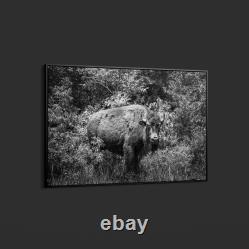 Highsmith American Bison-or Buffalo-Yellowstone National Park-Wyoming Print