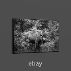 Highsmith American Bison-or Buffalo-Yellowstone National Park-Wyoming Print