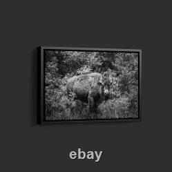 Highsmith American Bison-or Buffalo-Yellowstone National Park-Wyoming Print