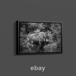 Highsmith American Bison-or Buffalo-Yellowstone National Park-Wyoming Print