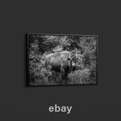 Highsmith American Bison-or Buffalo-Yellowstone National Park-Wyoming Print