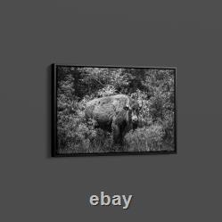 Highsmith American Bison-or Buffalo-Yellowstone National Park-Wyoming Print