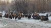 Historic Bison Release In Alaska