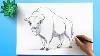 How To Draw American Bison Draw The National Mammal Of United States American Bison