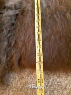 Huge 65 l to tail base x 64w Buffalo Bison Tanned Hide Blanket /Rug with Tail