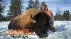Hunting Montana Buffalo With Randy Newberg Free Range Bison Ft S1 E9