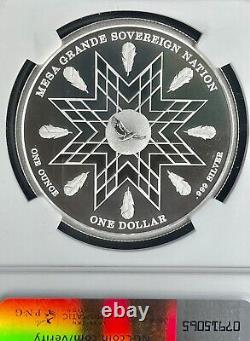 Incuse! First Nations Bison? Mesa Grande 2024 1oz Silver NGC SIGNED MS70