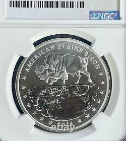 Incuse Sculpt First Nations Bison? Mesa Grande 2024 1oz. 999 Silver NGC MS70